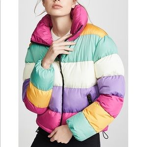 Glamorous Rainbow Puffer